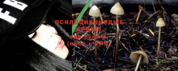 герыч Гусь-Хрустальный