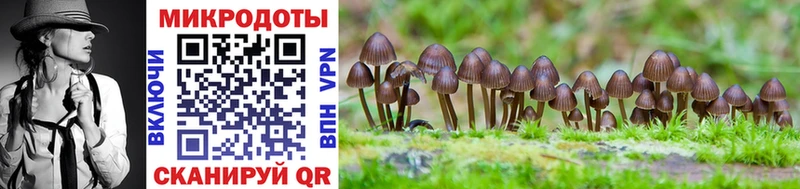 Галлюциногенные грибы мухоморы  Пикалёво 