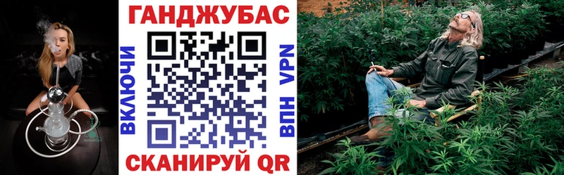 Конопля гибрид  закладка  Пикалёво 
